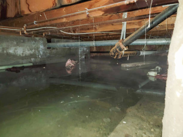 Best Flood restoration services  in Compton, CA
