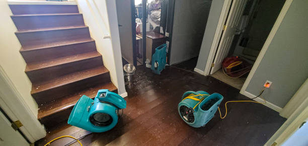 Best Water damage cleanup near me  in Compton, CA