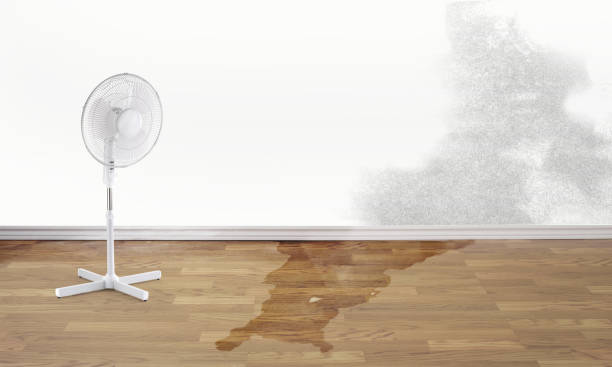 Best Ceiling water damage repair  in Compton, CA