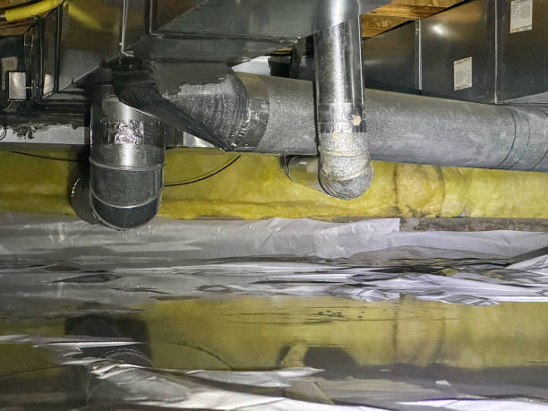 Best Professional water damage repair  in Compton, CA