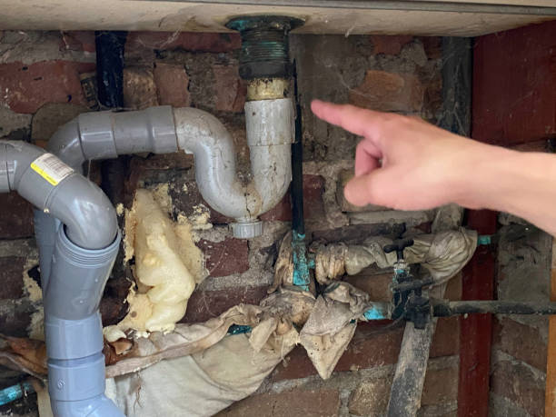 Best Mold removal after water damage  in Compton, CA