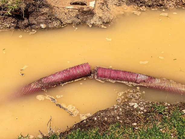 Best 24-hour water damage restoration  in Compton, CA