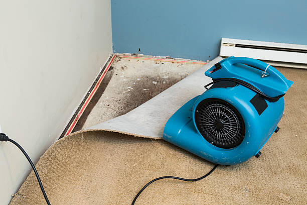 Best Carpet water damage restoration  in Compton, CA